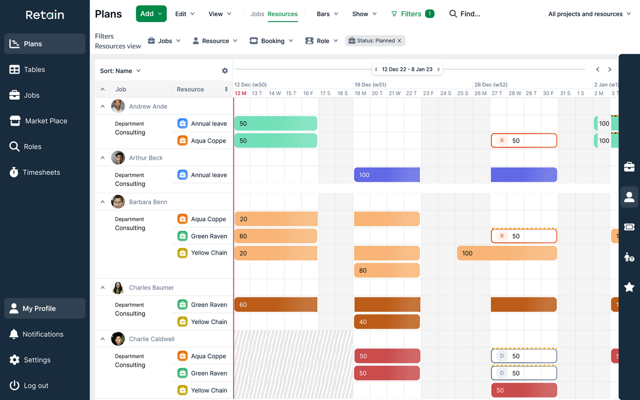 Resource management software for managing consulting resources